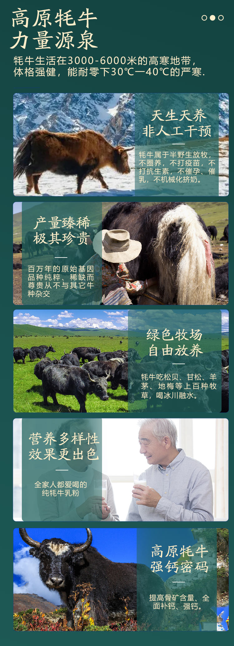西域总督纯牦牛奶粉详情页_06.jpg