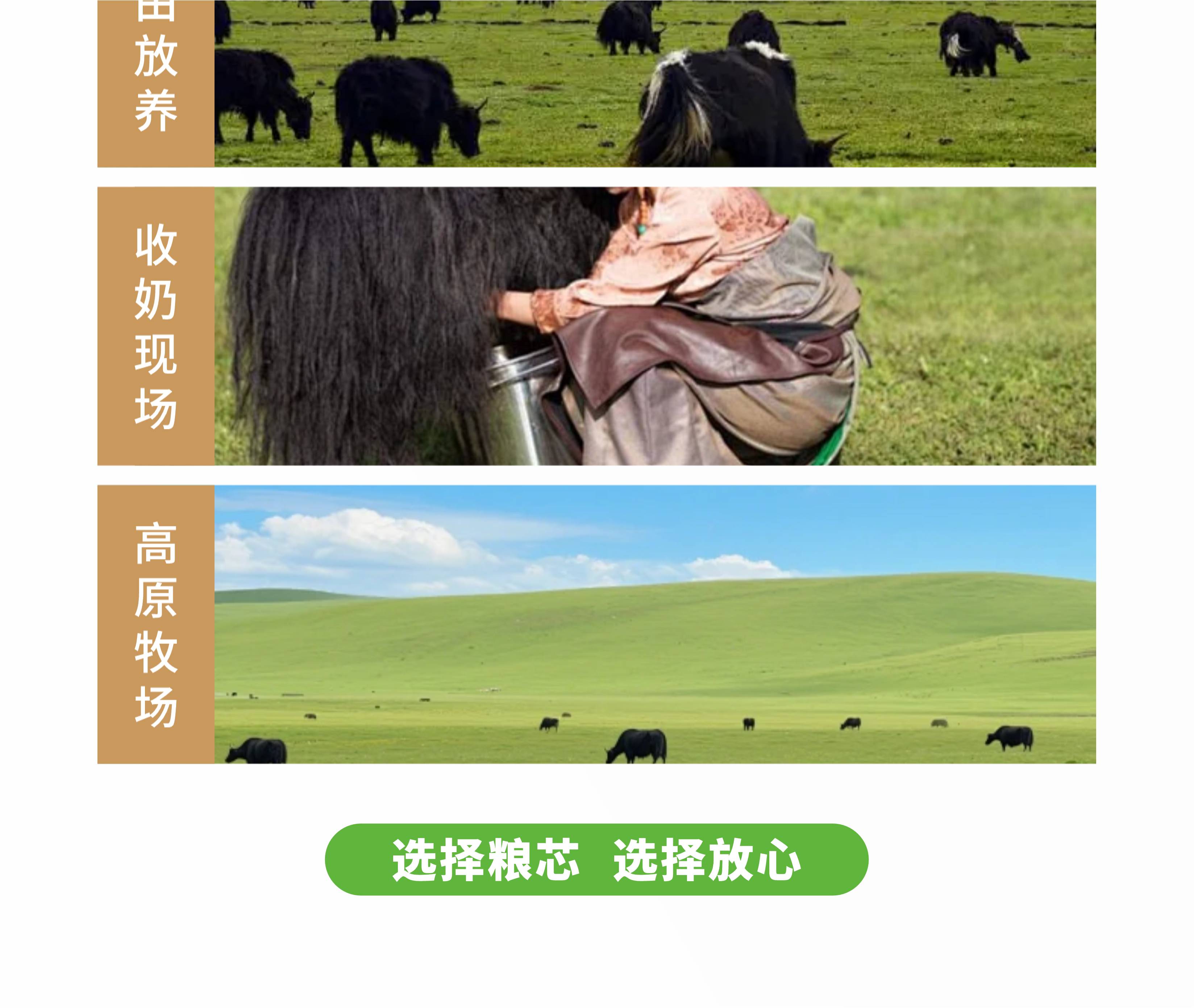 牦牛奶详情图-14.jpg