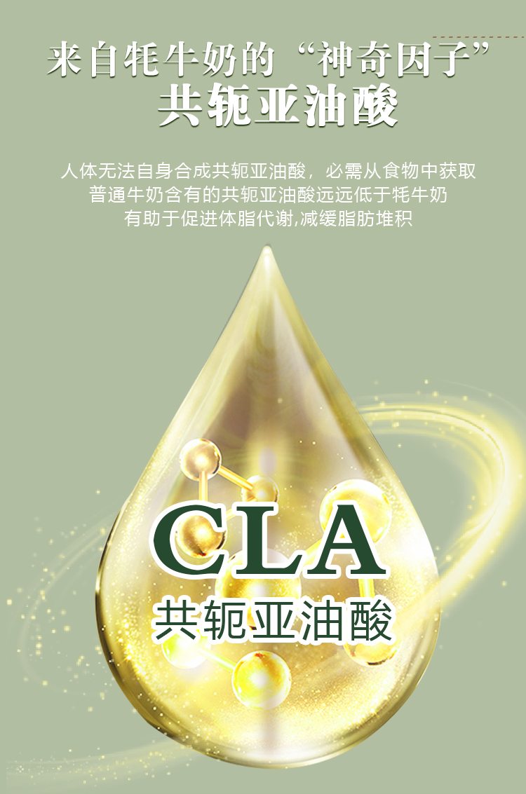 燕窝酸红曲牦牛乳粉详情页_04.jpg