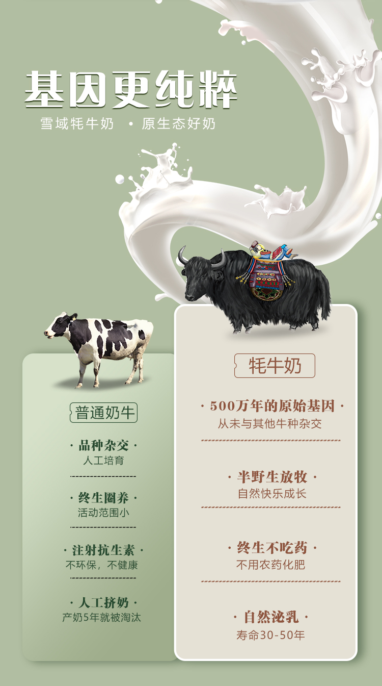 燕窝酸红曲牦牛乳粉详情页_03.jpg