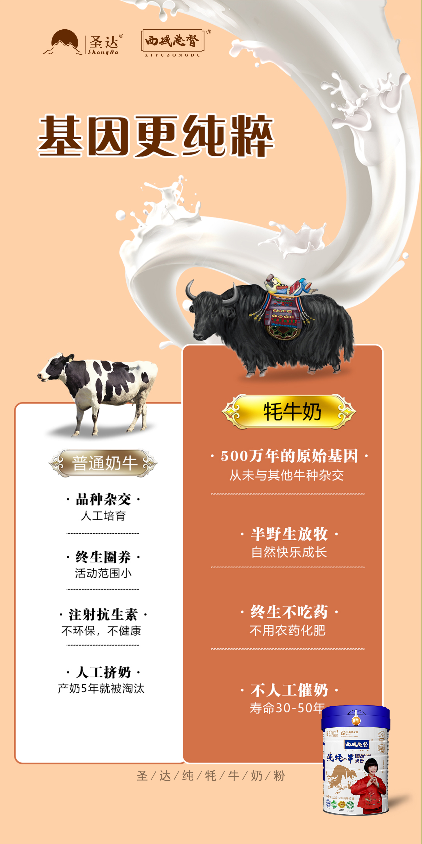 普通牛奶和牦牛奶对比基因更纯粹.jpg