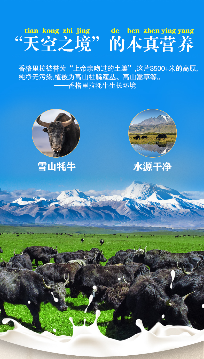 中老年牦牛奶粉详情页_03.jpg