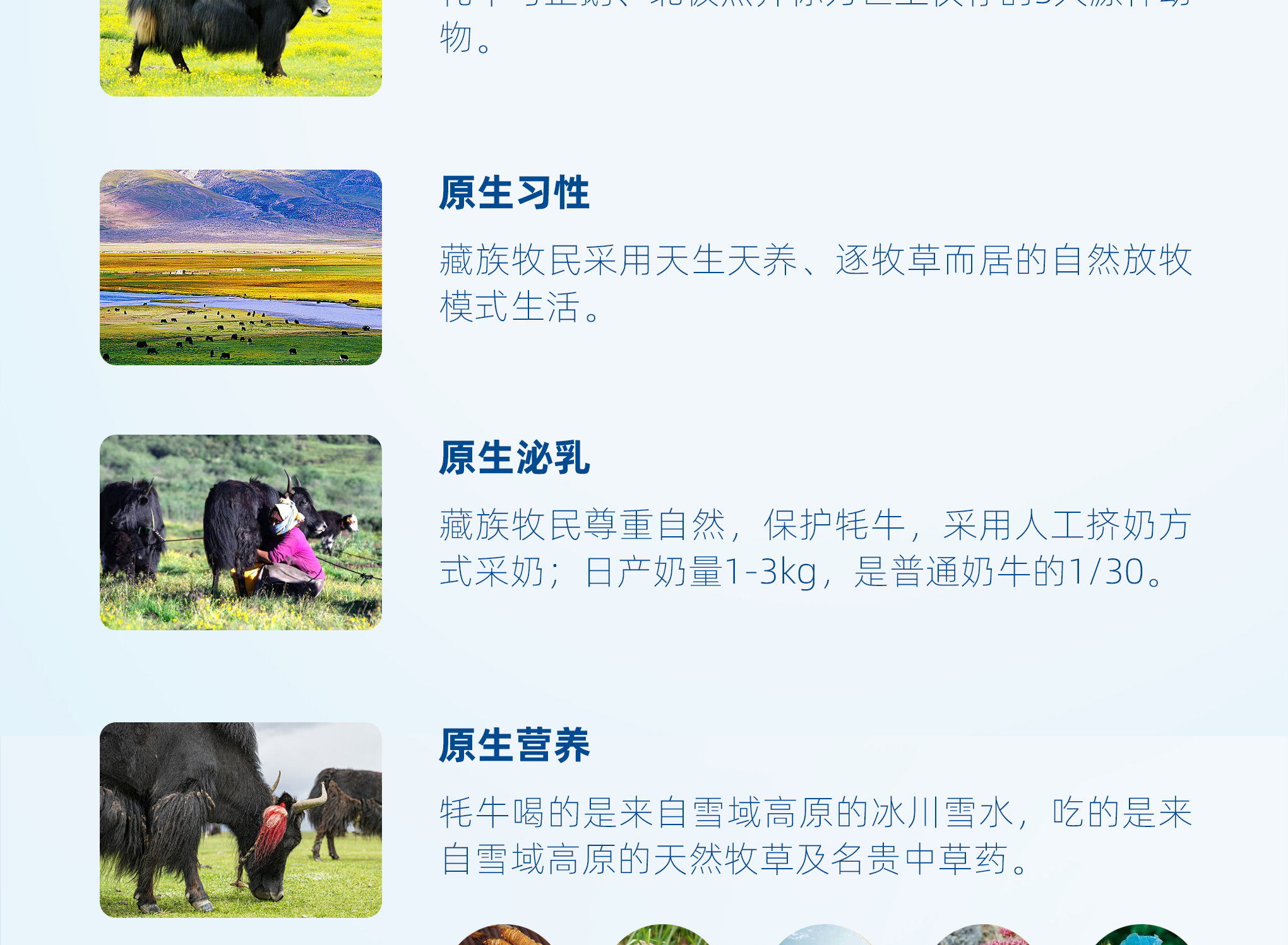 图层 5.png