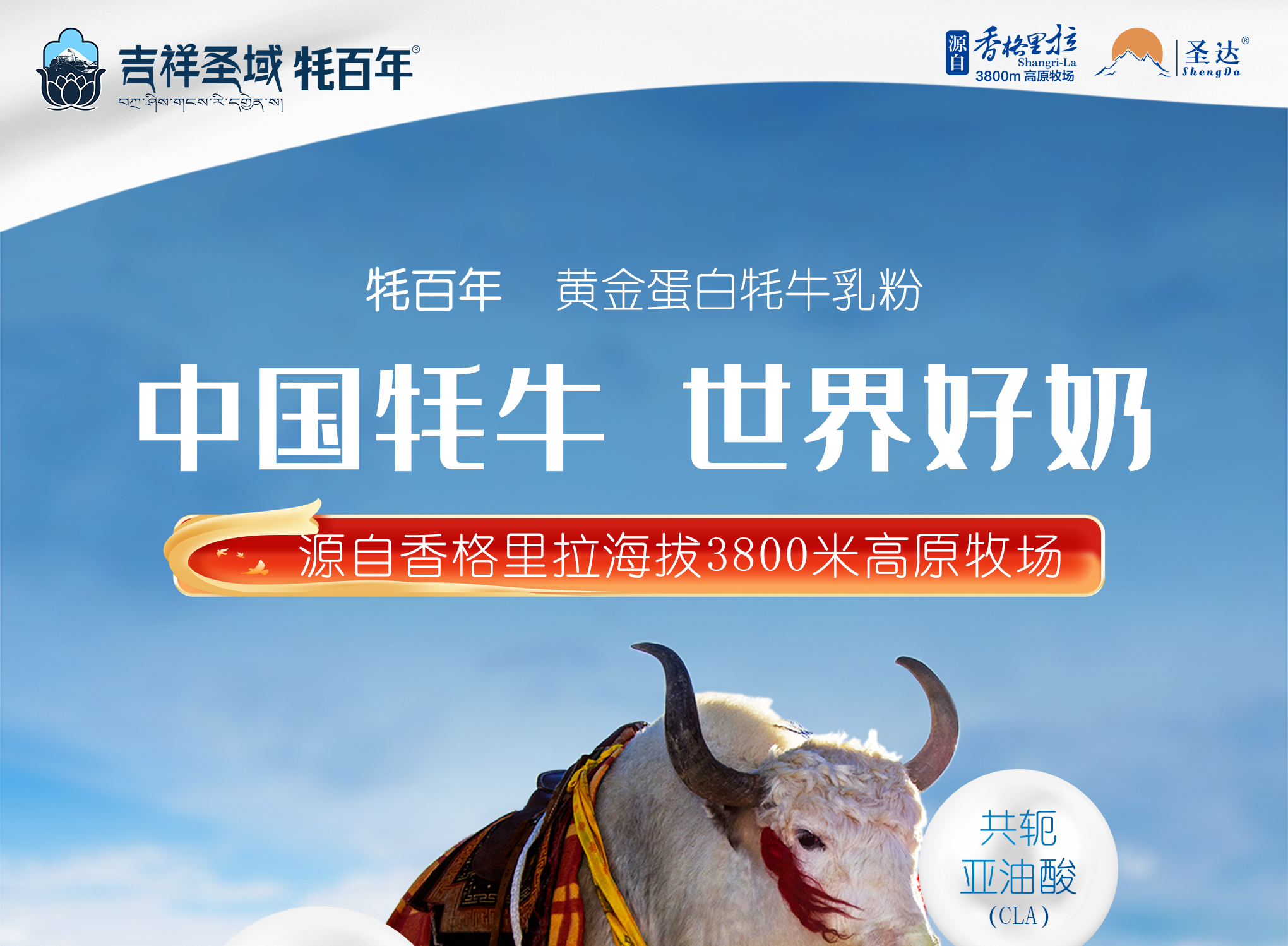 图层 1.png