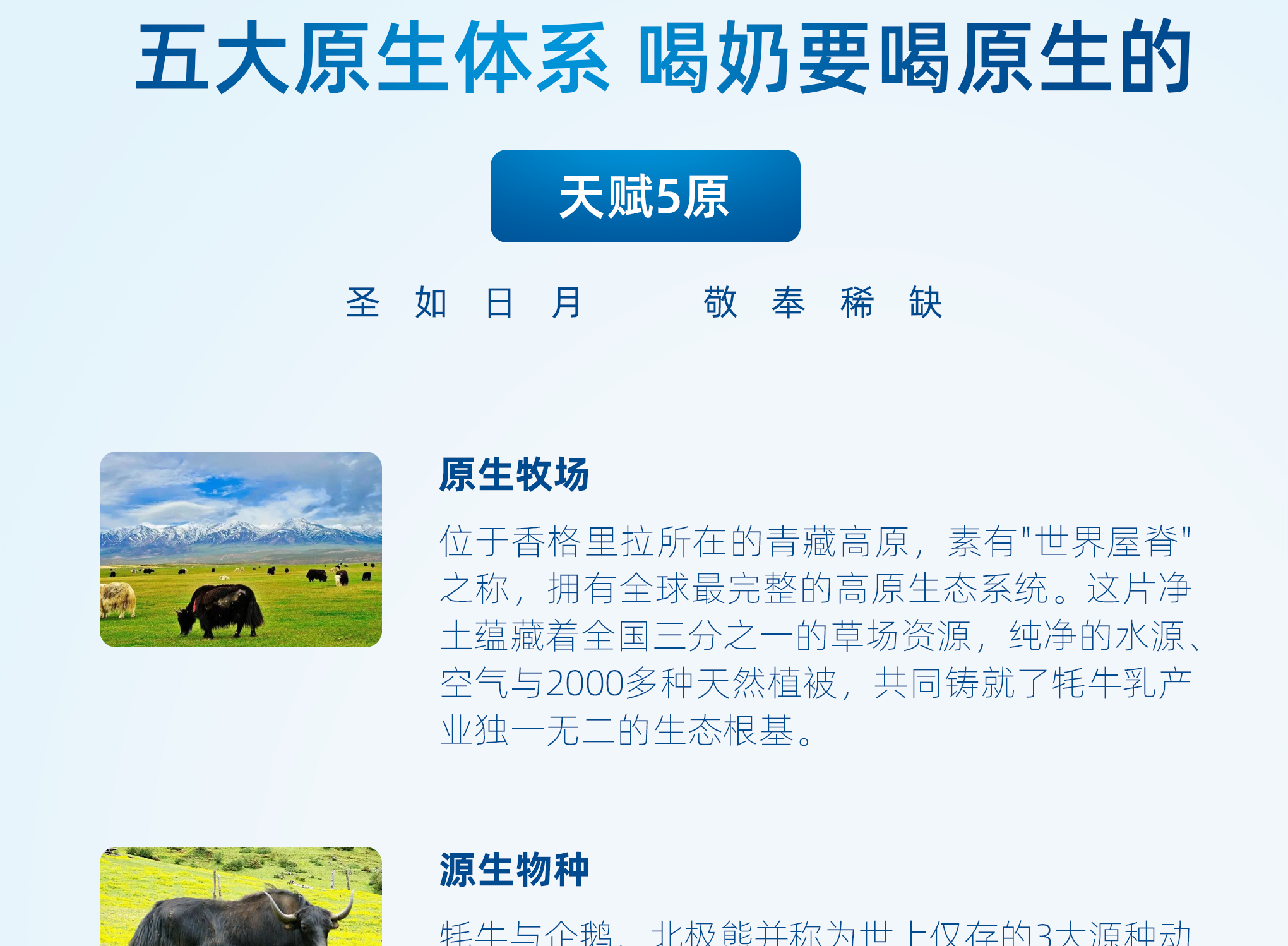 图层 4.png