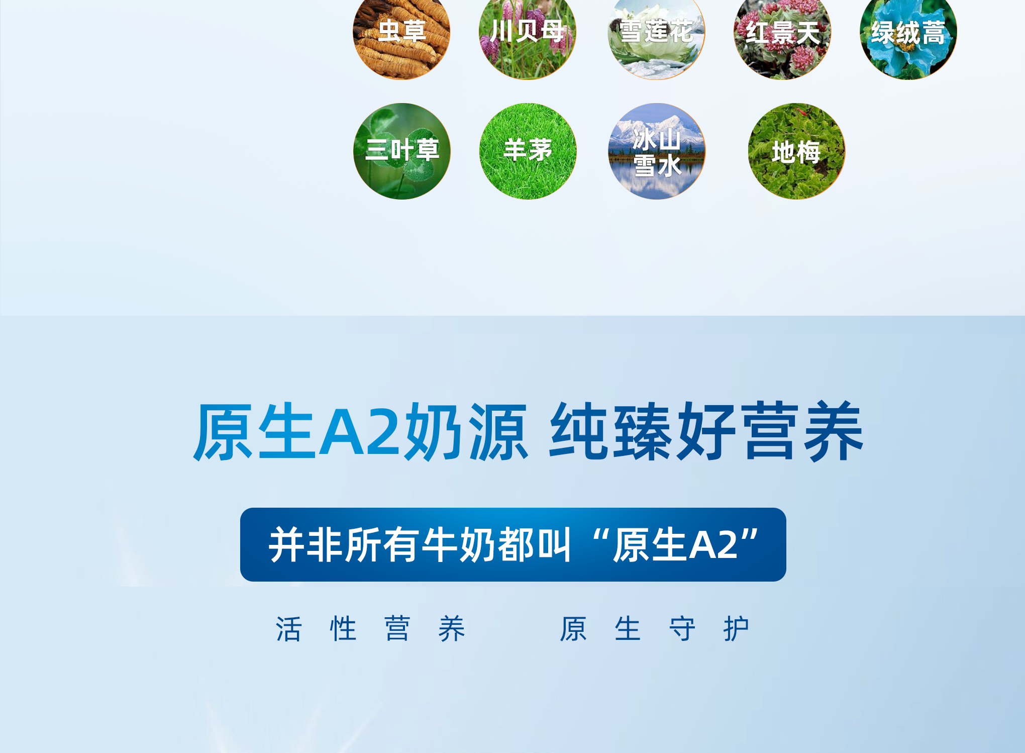 图层 6.png