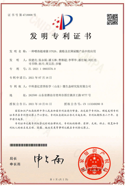发明专利2.png