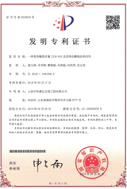 发明专利.png
